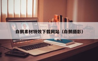 红河白鹅素材特效下载网站（白鹅摄影）